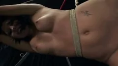 play Antrenament de supunere pentru Maya B, în vârstă de 18 ani: Fucking Hard Bondage și Face Futting - Partea 2