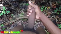Afspelen Grote lul buitenfantasie: solo mannelijke amateur streelt zijn harde, aderlijke lul in het bos