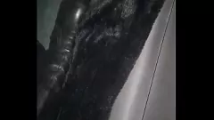 Reproducir Fantasía fetiche de cuero: botas chirriantes y pantalones ajustados